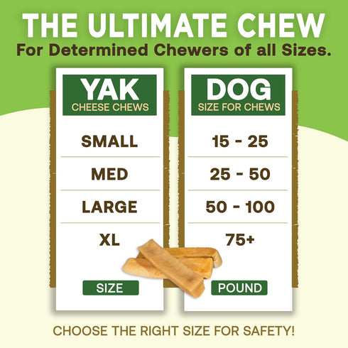 EcoKind Gold Himalayan Yak Cheese Medium Dog Chew Treats | Great for Dogs, Indoor & Outdoor Use - 3 Medium Chews