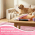 Trimmer Flexzion Pet Nail Clippers for Dogs & Cats - Stainless Steel Blade Cat Nail with Stored Nail File, Safety