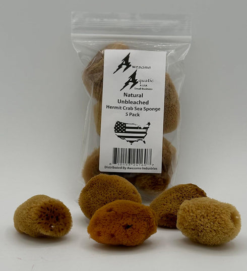 Awesome Aquatic 5 Pack 5 Unbleached Natural Hermit Crab Sponges Natural Sea Sponge Maintains Humidity Drinking Water
