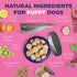 Vetericyn ALL-in-1 Puppy Supplement | 90 Count Digestive Enzymes + Antioxidant Immune Support + Vitamins, Minerals,