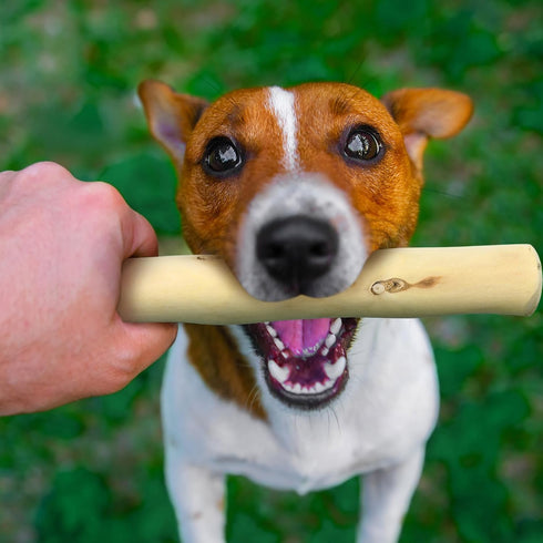 Hiboom 4 Pcs Dog Chew Sticks, Coffee Wood Chew Toy for Dogs, Safe Natural Healthy Bones for Chewing and Teeth Cleaning