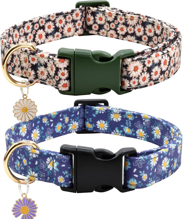 Flower Patterns Dog Collar with Accessories, Soft Cotton for Small, Medium, Large Female and Male Dogs (Daisy & Wild