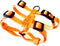 Hamilton Adjustable Comfort Nylon Dog Harness, Mango Orange, 3/8" x 10-16"