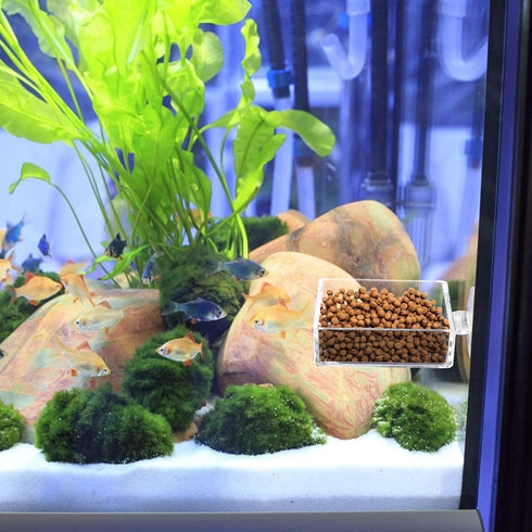 Clear Acrylic Square Shrimp Feeding Dish with Suction Cup for Fish Tank