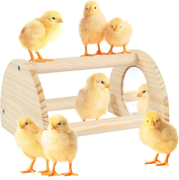Cubolar Pine Chicken Perch with Mirror, Strong Chick Jungle Gym Roosting Bar, Chicken