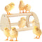Cubolar Pine Chicken Perch with Mirror, Strong Chick Jungle Gym Roosting Bar, Chicken