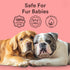 360 2-Pack Jasper Large Dog Toothbrush, Degree Pet Tooth Brushing Kit, Cat Toothbrush, Canine Dental Care & Teeth