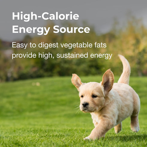 High Calorie Gel Supplement for Dogs - Pet-Ag, 5 oz, Chicken Flavor, Easy to Digest for Dogs 8 Weeks and Older