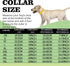 Stainless Steel Gold Dog Collars with Safety Buckle Lock, 18K Cuban Link Chain for Small Medium Large Dogs