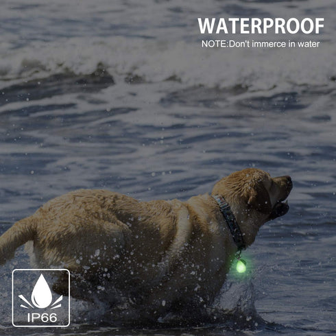 2-Pack Rechargeable Dog Light, Waterproof LED Dog Collar Light with 3 Modes, Clip On for Leash or Harness, Night Light