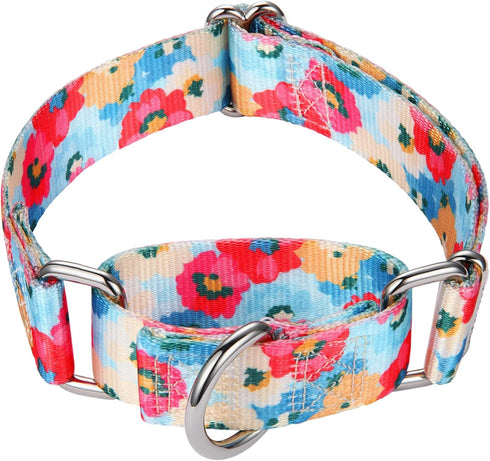 Martingale Collar for Dogs - 1 inch Sturdy Durable Collars for Medium and Large Breeds for Training and Daily Use