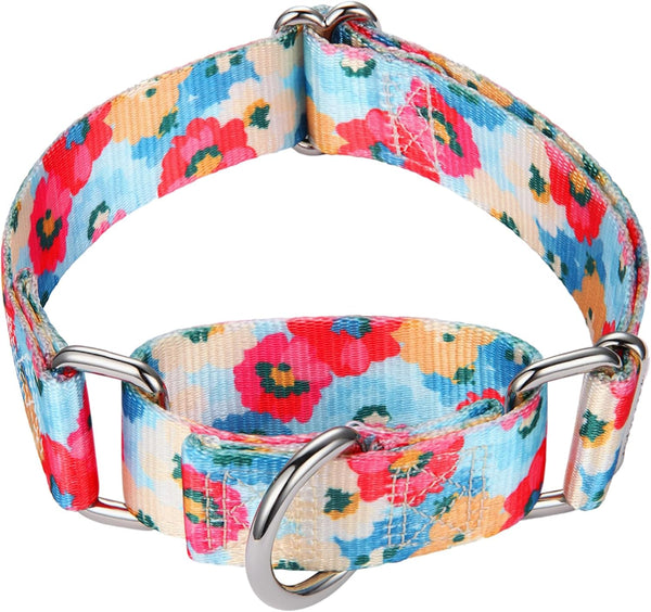 Martingale Collar for Dogs - 1 inch Sturdy Durable Collars for Medium and Large Breeds for Training and Daily Use