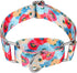 Martingale Collar for Dogs - 1 inch Sturdy Durable Collars for Medium and Large Breeds for Training and Daily Use