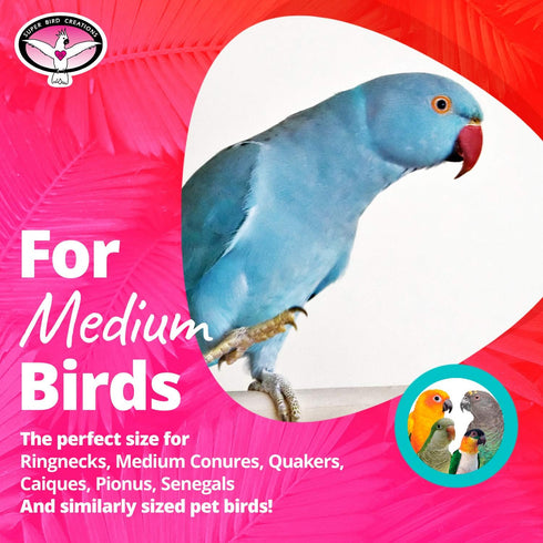 Super Bird Creations SB1098 Palm Star Bird Toy for Medium Birds, Colorful Leaves and Mahogany Pods