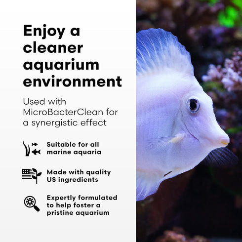 Brightwell Aquatics Razor Marine, Unique Systemic Fish Tank Cleaner for Marine Aquariums, 8.45 fl oz