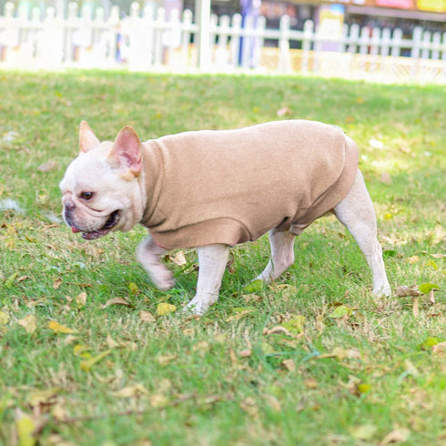 Small Dogs Fleece Dog Sweatshirt - Cold Weather Hoodies, Thickening Warm Vest, Pet Pajamas for Small Dog Cat Puppy