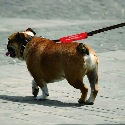 Funny Dog Leash Sleeve, in Training Please Don't Approach Wrap, Alert Hanging ID Patch Tag (Don't Approach-Sleeve)