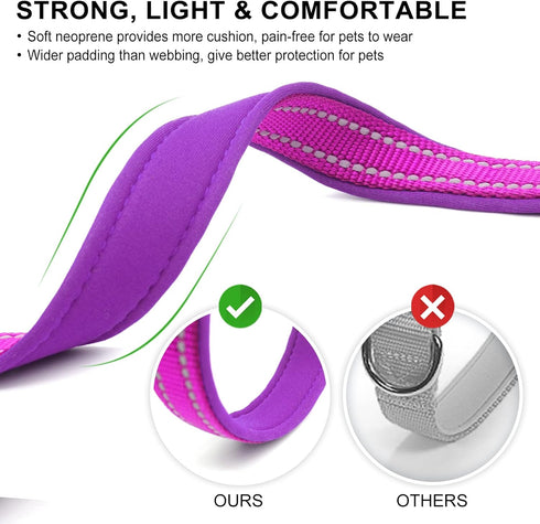 azuza 2 Pack Neoprene Padded Dog Collar for Small Dogs, Reflective Adjustable Safe and Comfy Collars, Purple/Pink, XS