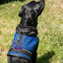 "Service Dog in Training" Clip On Identification Patch Tag - Includes Five Handout Cards for Service Dog Vest