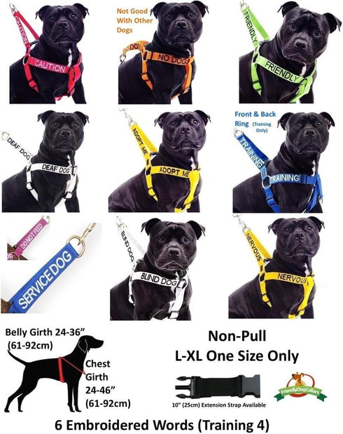 Nervous (Give Me Space) Yellow Colour Coded Dog Collars S-M L-XL Prevents Accidents