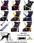 Blue Warning Dog Leash (in Training/Do Not Disturb); Padded 1.8m 6ft Lead