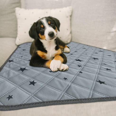 36x41 Inch(2pack) RIOUSSI Washable Pee Pads for Dogs, Reusable, Absorbent, Leakproof, Non Slip Pet Puppy Pads for Potty