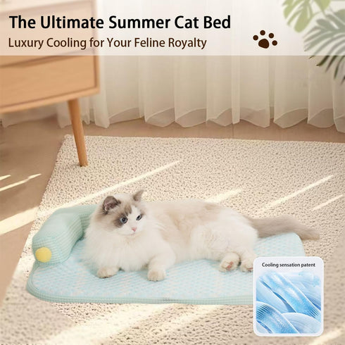 Lunale Large-25"x19"x4" All-Season Ice Fabric Cat Bed with Cushioned Pillow/Play Ball/Washable Mat for Cats, Kittens