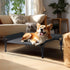 Veehoo Cooling Raised Dog Bed - Guardrail Elevated Bed, Chewproof Frame with Washable Breathable Teslin Mesh, Non-Slip