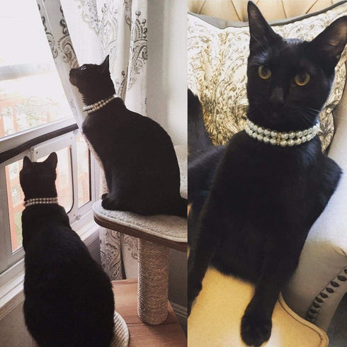 PET SHOW Dog Necklace, Two Rows Elastic Faux Pearl with Rhinestone, Pet Cat Puppy Small Dogs Jewelry Grooming