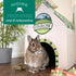 Chinchillas Oxbow Timothy Hay Tunnel, Guinea Pig Hideout, Rabbit & Bunny Tunnel, Edible & Hand-Woven Guinea Pig House