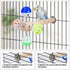 Matutinus Returns)(1PCS) Bird Stand Perch Toy with Rotating Balls, Bird Toys for Parakeets, Ideal for Parakeets