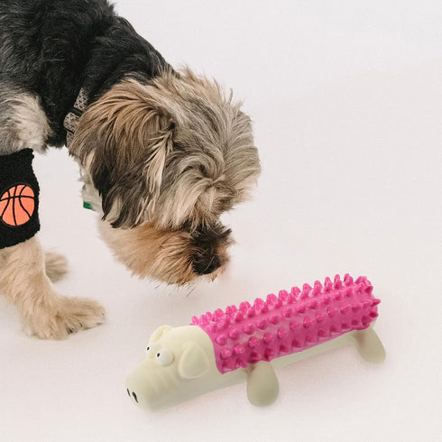 Dog Talking Toy, Squeaky Plush Silent Squeaker Dog Toothbrush Toy, Bite Sound Toy for Dogs