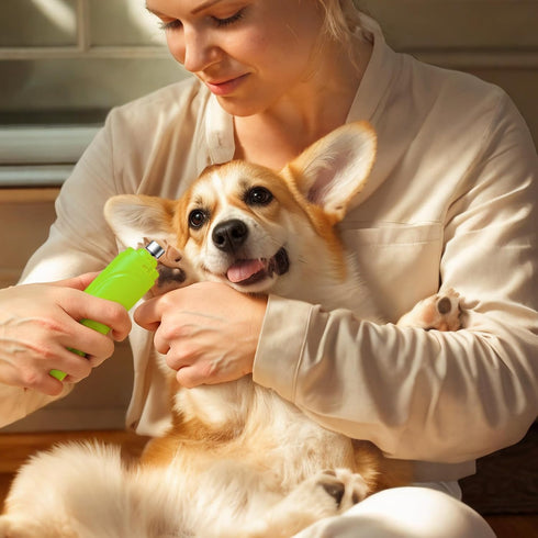 Trimmers Grooming,3 YABIFE Dog Nail Grinder, Dog Nail and Clippers Kit, Super Quiet, Rechargeable, for Small Large Dogs
