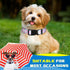 4 Pack Dog Collar Floral Breakaway, Adjustable Spring and Summer Pet Collars for Dog Puppy Decoration (Medium)