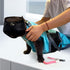 Set Trimming Cinf Cat Nail Clipping Cleaning Grooming Restraint Bag (Free Muzzle) No Scratching Biting for Bathing Nail