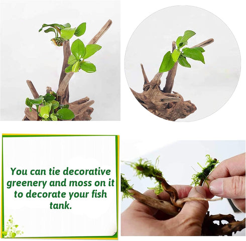 PINVNBY Natural Driftwood for Aquarium Fish Tank Decorations, Assorted Branches, 4 Pack