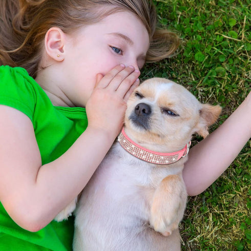 2 Pieces PU Leather Dog Collar Pink Rhinestone Flower Pattern Studded Adjustable Bling Puppy Collar (XS: 8.2-10.6 Inch)