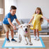 28"x34" 50 Pack 6 JollyMate Dog Pee Pads Extra Large, X-Large Super Absorbent Pet Pee Pads with Adhesive Tabs, Layers