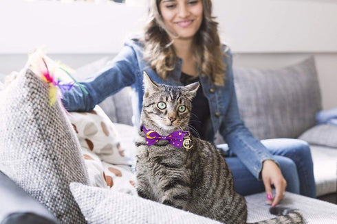 2 PCS Breakaway Cat Collar with Bow Tie and Bell, Golden Moon Glowing Star in The Dark for Kitten (Black & Purple)