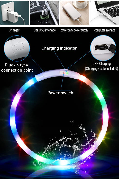 Waterproof LED Dog Collar, USB Rechargeable Light Up Collars for Night Walking, Safety Training for Small to Large Dogs