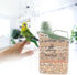 Bird Seed Storage Container, Portable 3 Qt Clear Pet Food Container with Measuring Cup, Airtight Dispenser, Green
