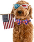Elegant Little Tail Independence Day Dog Collar, Holiday Pet Collar with Bow, Adjustable Durable Patriotic Collar for