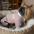 KYEESE Dog Pajamas Striped Pet Jumpsuit, Soft Doggie Jammies, Lightweight Onesie for Small Dogs (Green Striped, X-Large)