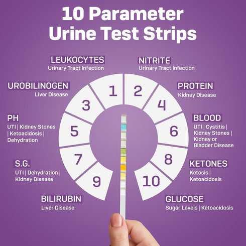 5 10 One Step Pet Urine Testing Strips, x Parameter Urinalysis Test Strips, Urine pH Test Strips for Dogs, Cats