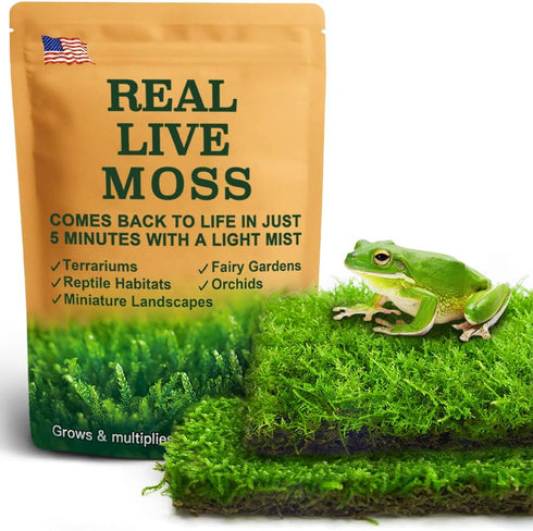 Live Moss Duo Pack 2 Types of Real Live Sheet/Sphagnum Moss for
