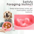 Super Design Slow Feeder Dog Bowl, 1 Cup, Nonslip, Heat-Resistant for Small to Medium Sized Dogs