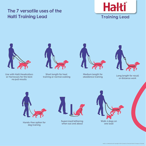 HALTI Front Control Harness Size Large & Training Leash Size Large, Black Combination Pack for Large Dogs