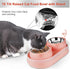 Elevated Cat Food Bowls, Raised Cat Bowl with Stand Stainless Steel, Tilted Cat Bowls Anti Vomiting, Double Cat Food and Water Bowl Set for Cats (Pink)
