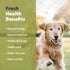 JustFoodForDogs Pantry Fresh Wet Dog Food, Chicken & White Rice Human Grade Recipe, Complete Meal or Topper - 12.5 oz