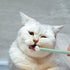 SUPVOX Extra Soft Pet Toothbrush – Dog and Cat Dental Cleaning Brushes for Sensitive Teeth & Gums, 3 Pack Kit